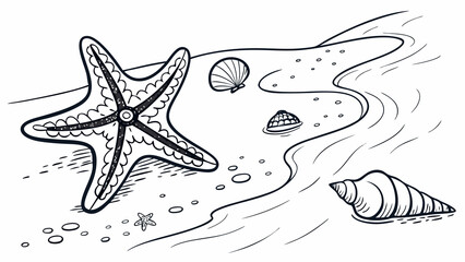 sea shells and starfish vector illustration