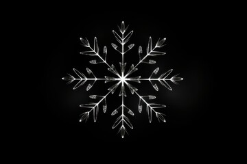 Wall Mural - effect minimal of snowflake light black black background.