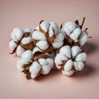 © Yevhen - Cotton boll close-up, suitable for natural branding, eco-friendly packaging, seasonal decoration, and lifestyle photography.