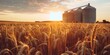 © soem - A golden wheat field with a silo in the background at sunset.