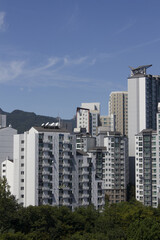 Wall Mural - 
It's a forest of apartments in the city center.