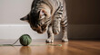 © Nai - Cat plays with green yarn ball on wooden floor in cozy indoor setting during afternoon light