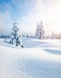 © Stefan Schurr - Snowy forest with snowdrifts and snow-covered branches