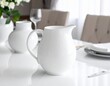 © Eryansah - A white ceramic pitcher sits on a glossy white table, with a vase and glassware in the background.