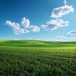 © KidJpeg - 緑豊かな草地の風景 青い空に白い雲が広がり 春の日の光の中で輝く田園地帯