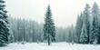 © Najmin - Winter snow covered pine forest illustration seasonal cold nature design