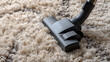 © noiteterna - Cabezal de aspiradora sobre alfombra mullida de pelo alto en tonos gris y crema. Limpieza eficiente en superficies densas. Ideal para mantener la higiene y el confort en espacios interiores del hogar.