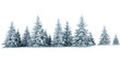 © bibi kulsum - Snow covered evergreen trees winter forest landscape isolated on a transparent background