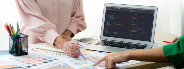 Software development programming on computer screen for brisk application and program coding