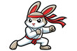 © SEAMOR - 1  Rabbit karate fighting pose with headband