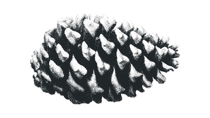 Stippled Pinecone Image Isolated on Transparent Background. Vector hand drawn illustration