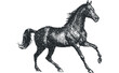 © Maestro - Dynamic black horse in motion, textured dot graphic, transparent. Vector hand drawn illustration