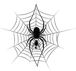 A spiderweb with a spider and a fly, creating a creepy and intricate design for halloween decorations