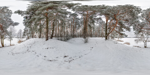 Wall Mural - winter full spherical 360 hdri panorama view on ice of frozen snow-covered lake in middle of forest in equirectangular projection. VR AR content
