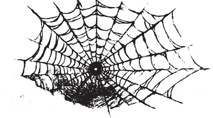 Spider web black and white vector illustration. Detailed round geometric pattern in ink sketch style.