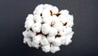 © Jihad - A close-up of a cotton boll cluster