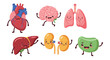 © Santiago - Cute cartoon human organs with happy faces and playful expressions