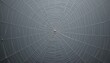 © Aliona - Spiderweb ceiling pattern with a single central point viewed head-on.