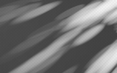 Wall Mural - abstract shadow overlay on a transparent background. dappled light texture on wall.