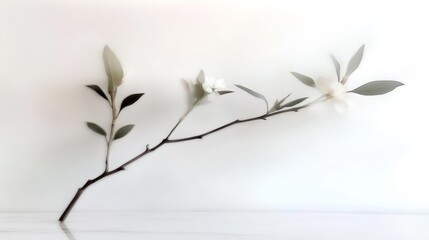 a branch of a tree is shown in a blurry image. the branch is thin and has a few leaves on it. the im