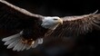 © StockEra - Hyper realistic eagle mid dive talons extended aerial wildlife action captured in hyper detail