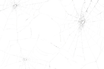 png spider webs on a black background halloween design atmosphere.