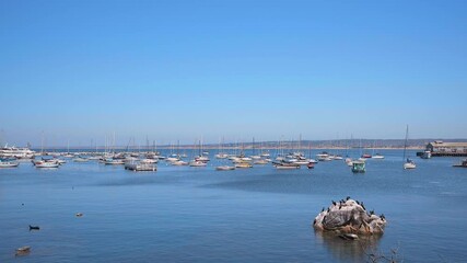 Wall Mural - Monterey Bay, California with boats in marina