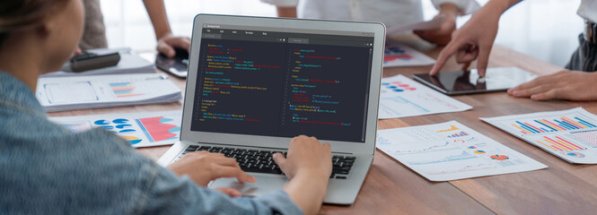 Software development programming on computer screen for brisk application and program coding
