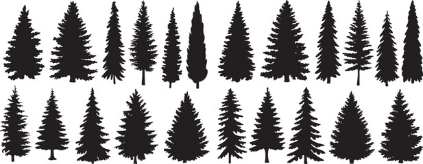 Silhouette of Evergreen Trees Set on White Background,Pine fir tree tall tree isolated premium vector image, black and white tree silhouettes,coniferous trees, pine trees,fir trees silhouettes set