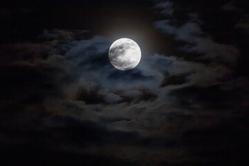 Wall Mural - Full moon in the night sky with clouds