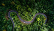© Oleksiy - A winding road cuts through a dense forest Cars travel along the road surrounded by green trees The view is from above showing the road's curves
