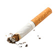 © shahabat - Close-Up View of a Burnt Cigarette Stub on a Transparent Background