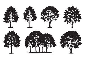 Collection of diverse silhouette trees isolated on white for natural design elements white background