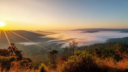 Wall Mural - sunrise over misty hills with dense green vegetation and golden light