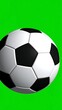 © Hiloe - Classic black and white soccer ball