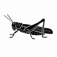 A detailed, bold, and black silhouette of a grasshopper