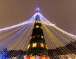 © hp - Illuminated Christmas tree at night