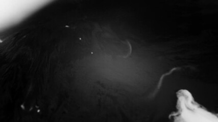 Wall Mural - Abstract Black And White Ink Fluid In Wavy Motion