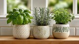 Three white plant pots with herbs such as basil and rosemary on kitchen counter by window, daylight lit, white tile background. Minimalist style for home decor, gardening, and healthy living.