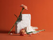 © Cavan Images - minimalist still life with Elegant carnation arrangement
