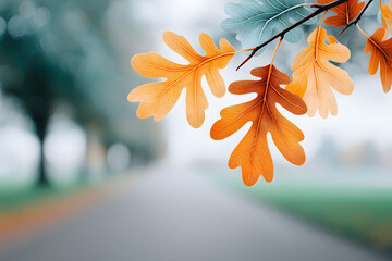 Wall Mural - Autumn Oak Leaves on Branch Against Soft Focus Nature Background