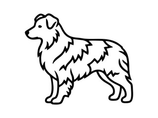 Wall Mural - vector isolated one single aussie australian shepherd dog head portrait front view black and white b