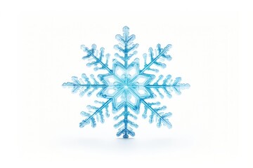 Canvas Print - snow flake snowflake white white background.