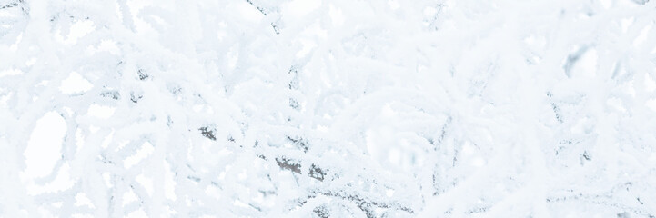 Wall Mural - Snow and rime ice on the branches of bushes. Trees covered with hoarfrost. Plants in the park are covered with hoar frost. Cold snowy winter weather. Frosting texture. Wide panoramic light background.
