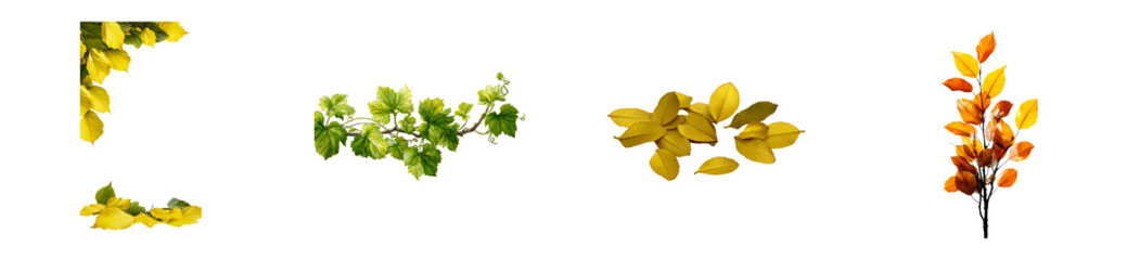 Wall Mural - Collection of assorted autumn leaves on transparent background, cut out