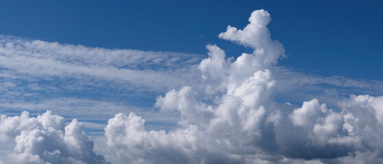 Wall Mural - light fluffy white clouds in a clear blue sky. tranquil cloudscape. widescreen photo anamorphic format. cinema aspect ratio