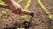 © Kristelinmind - Hands cultivating soil with a hoe, a close-up of rural life and agricultural practices