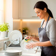 © Marlon - A Housewife's Contentment While Washing Dishes