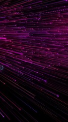 Wall Mural - animation of pink and purple light streaks radiating from center on black background
