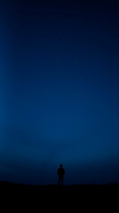 Wall Mural - Solitary Figure in a Blue and Dark Night Sky vertical